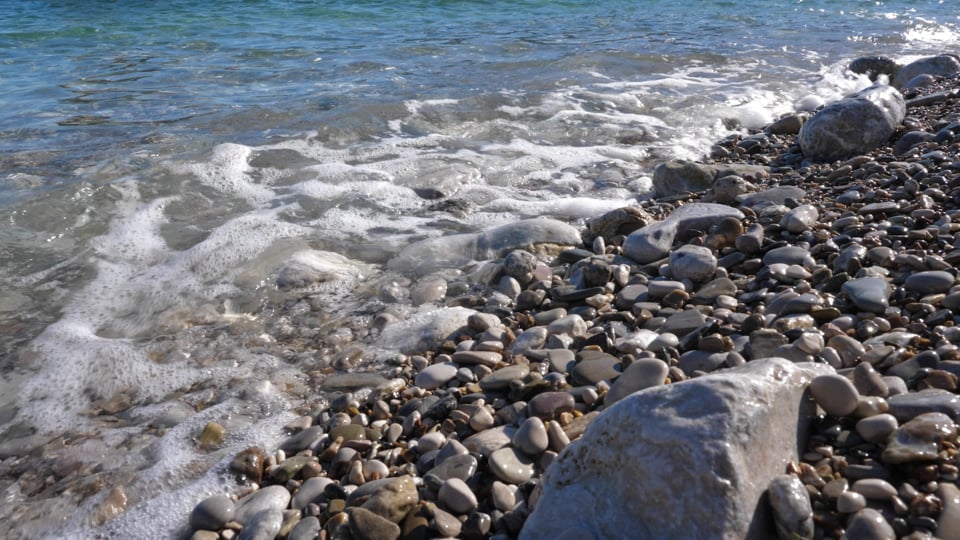 A peaceful shoreline from the James Support Group film